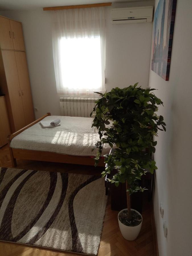 Cozy Studio 베오그라드 외부 사진